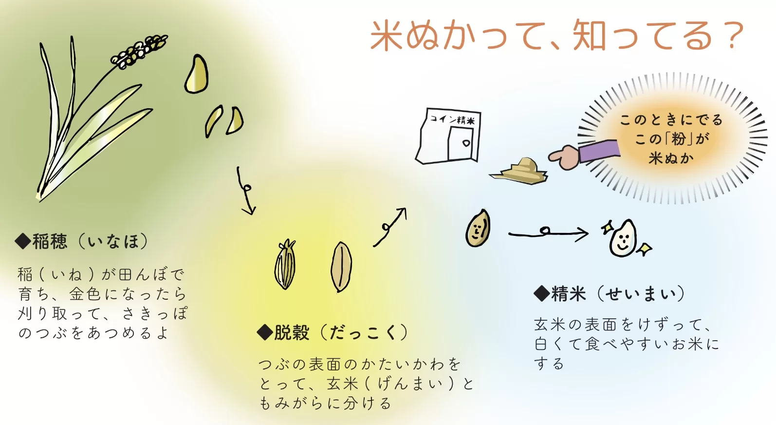 Letter014：米ぬかってすごい!! | 海をまもろう。